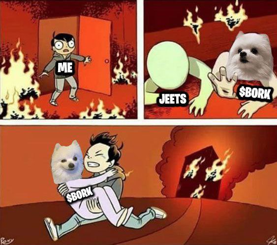 <a href="/anglio/"></a> Buying more $Bork

<a href="/borkofficialsol/">Bork</a>