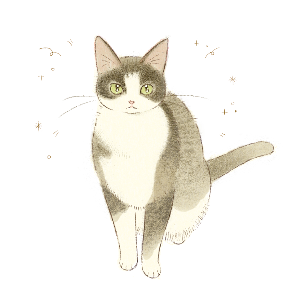 은돌이 tweet media