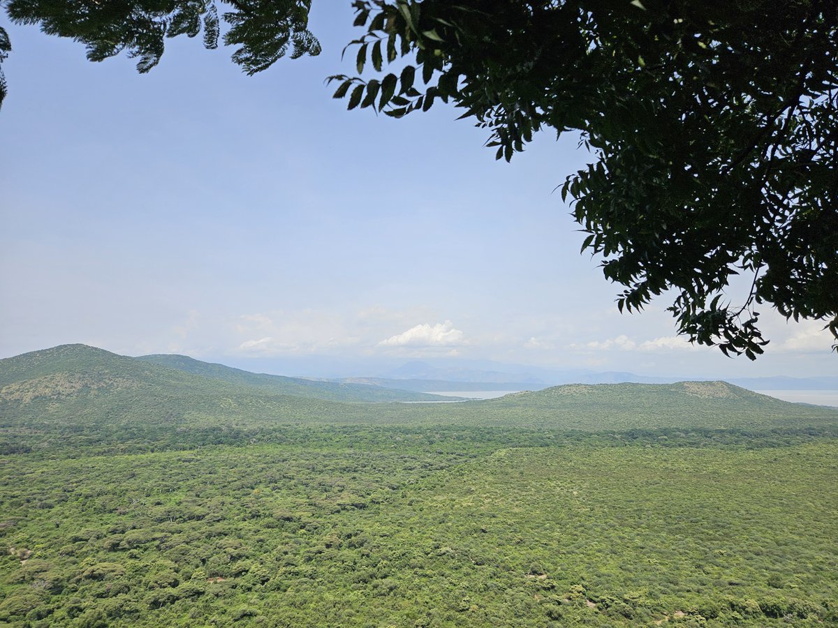 World Records Hottest Day Twice in One Week

This underscores the critical importance of Vita's #Food and #Forest initiatives in East Africa. 

Vita tackles the root causes of climate change while enhancing food security and restoring ecosystems.

Visit: vitaimpact.org
