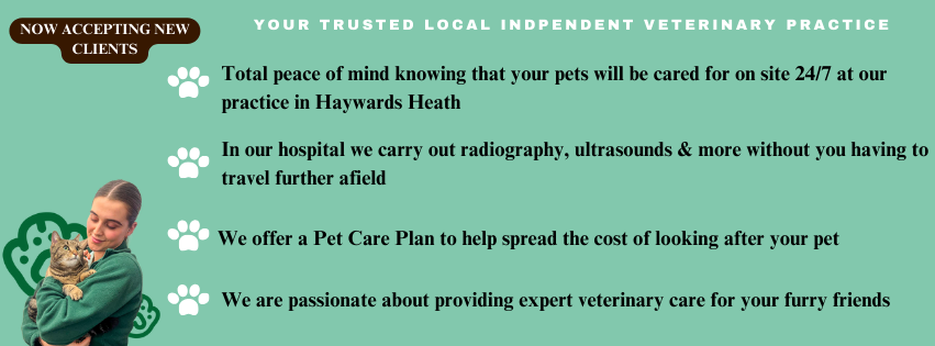 OathallGrp's tweet photo. To register with us please visit  - 
https://t.co/Ct8dd1wIxM

#haywardsheath #burgesshill #cuckfield #lindfield #ardingly #scayneshill #midsussex #sussex #vetsinsussex #emergencyvets https://t.co/ESio5ztbHQ