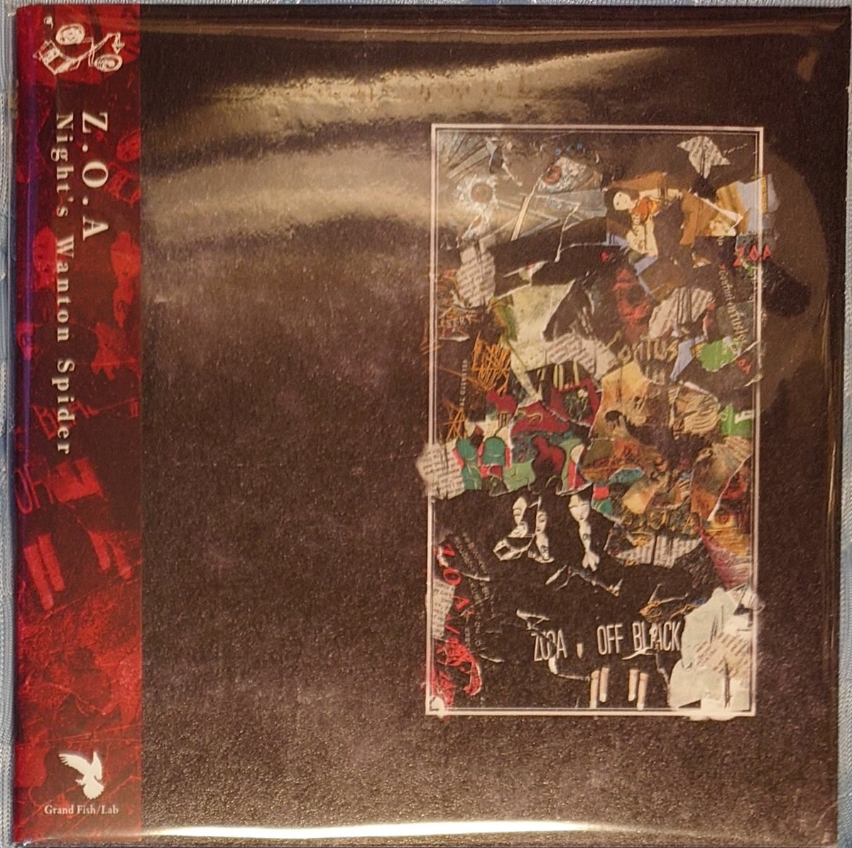 Z.O.A『Night