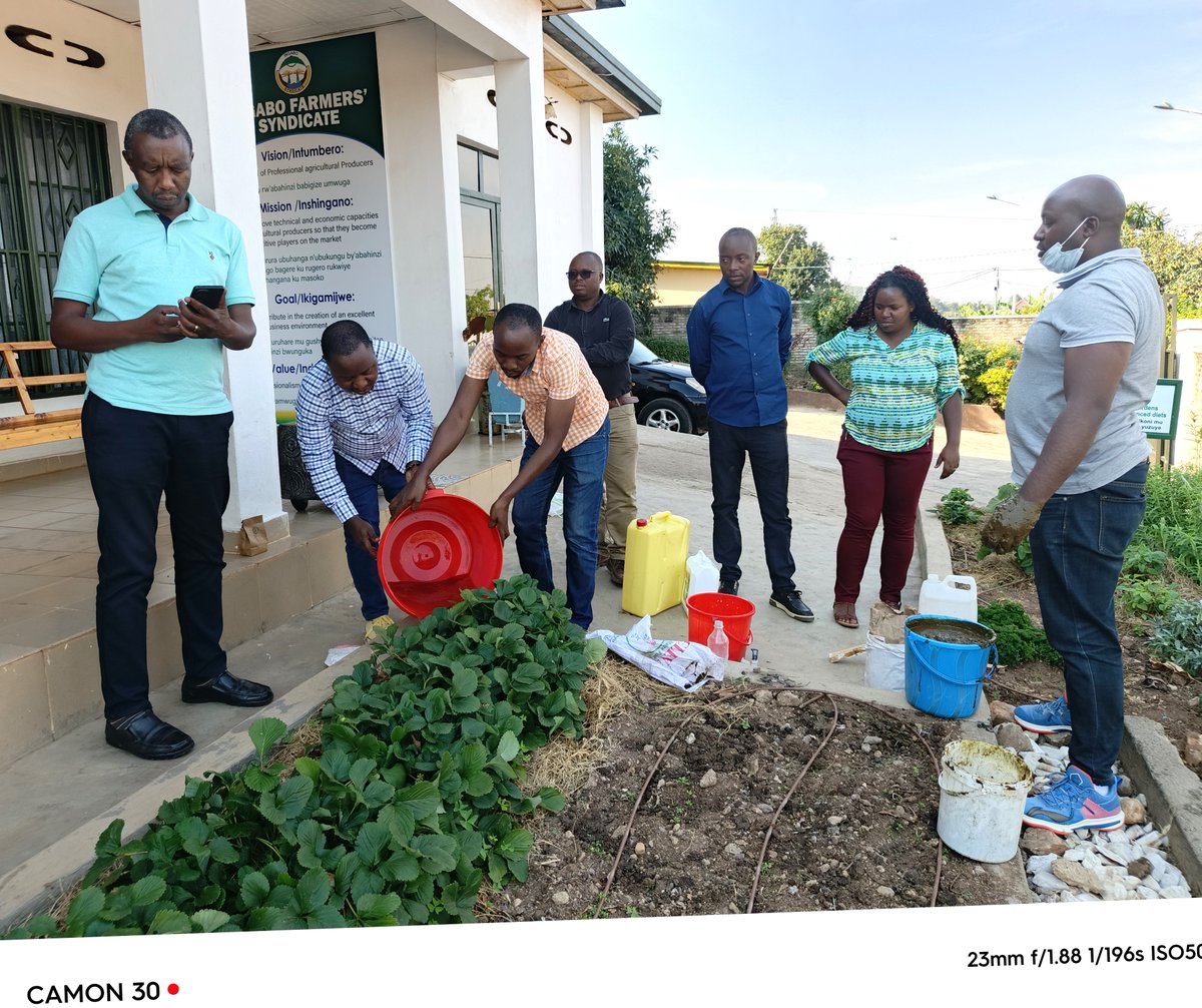 INGABOFAMERS's tweet photo. This training comes after the one that was organized by @AgriterraRwanda through its project #ActingNow and took place in Musanze District, Northern Province from 12th-17th May 2024 and had brought together different partners in this project.@worldfarmersorg,@IFAD,@IITA_CGIAR https://t.co/WUAw0aSkTz