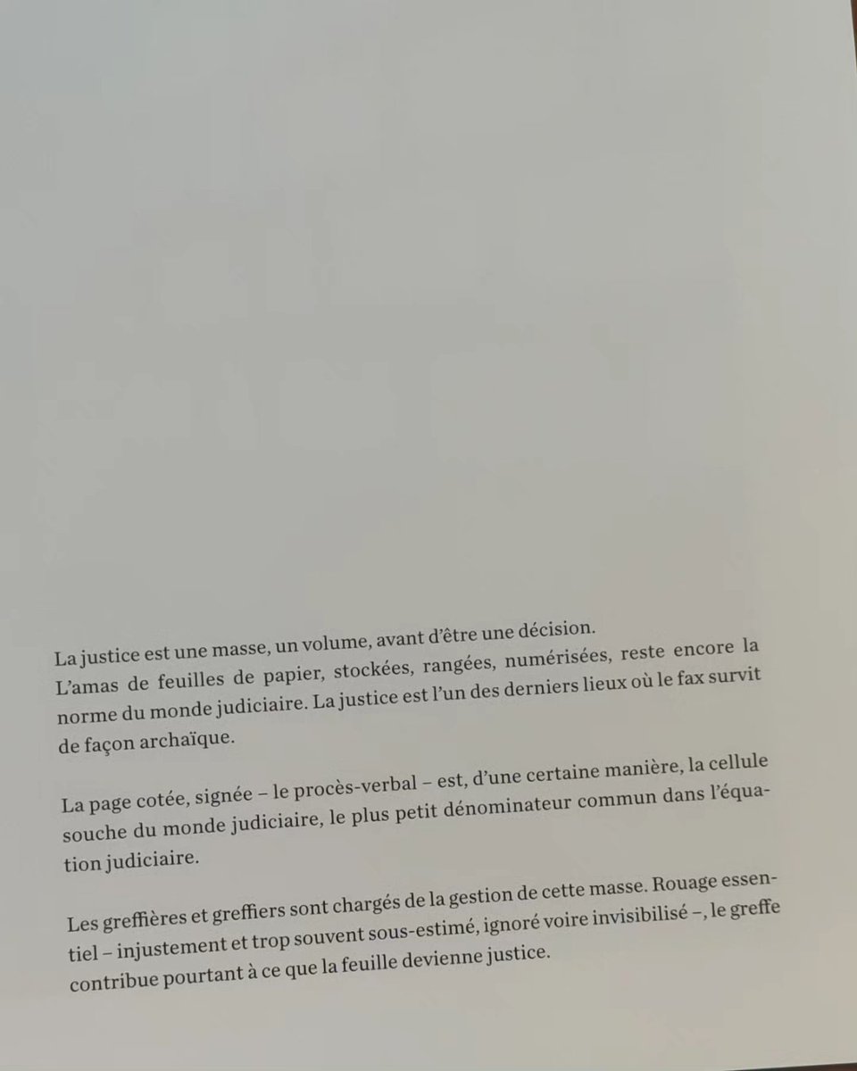 sinelege tweet media