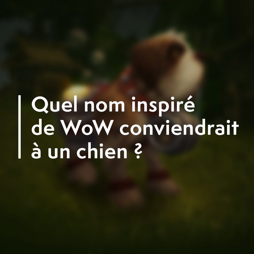 Warcraft FR tweet media