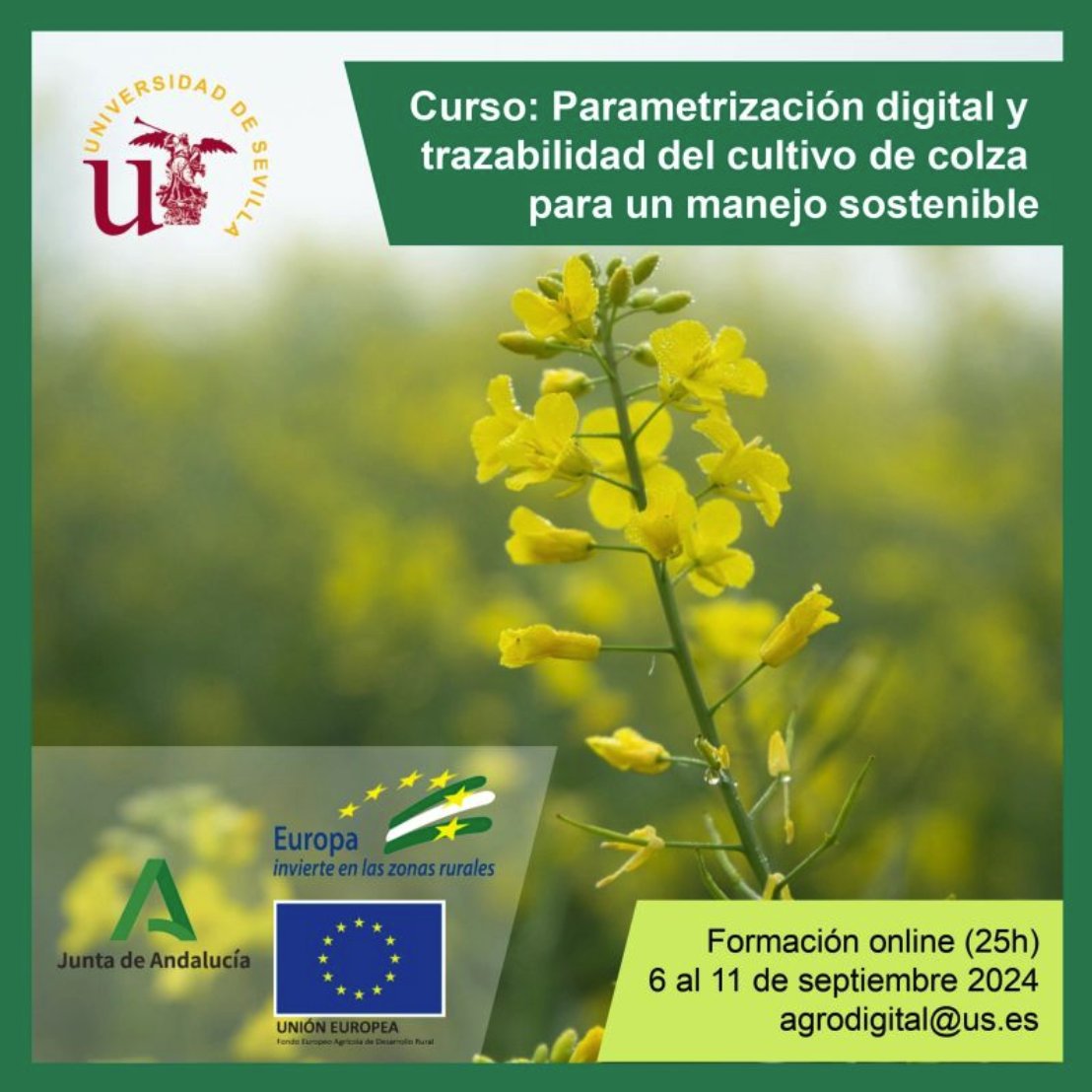Cátedra Corteva (@catedracorteva) on Twitter photo El equipo del <a href="/SmartBioLab/">Smart Biosystems Laboratory</a> y la <a href="/catedracorteva/">Cátedra Corteva</a> de <a href="/unisevilla/">Universidad de Sevilla</a> queremos que aprendas las últimas herramientas para la #Agricultura con dos cursos #gratuitos el próximo septiembre:
🌾Del 6 al 11: DS4Canola
🍊Del 9 al 12: Dronfruit 2
ℹ️nfo y registro en:agrodigital@us.es El equipo del <a href="/SmartBioLab/">Smart Biosystems Laboratory</a> y la <a href="/catedracorteva/">Cátedra Corteva</a> de <a href="/unisevilla/">Universidad de Sevilla</a> queremos que aprendas las últimas herramientas para la #Agricultura con dos cursos #gratuitos el próximo septiembre:
🌾Del 6 al 11: DS4Canola
🍊Del 9 al 12: Dronfruit 2
ℹ️nfo y registro en:agrodigital@us.es