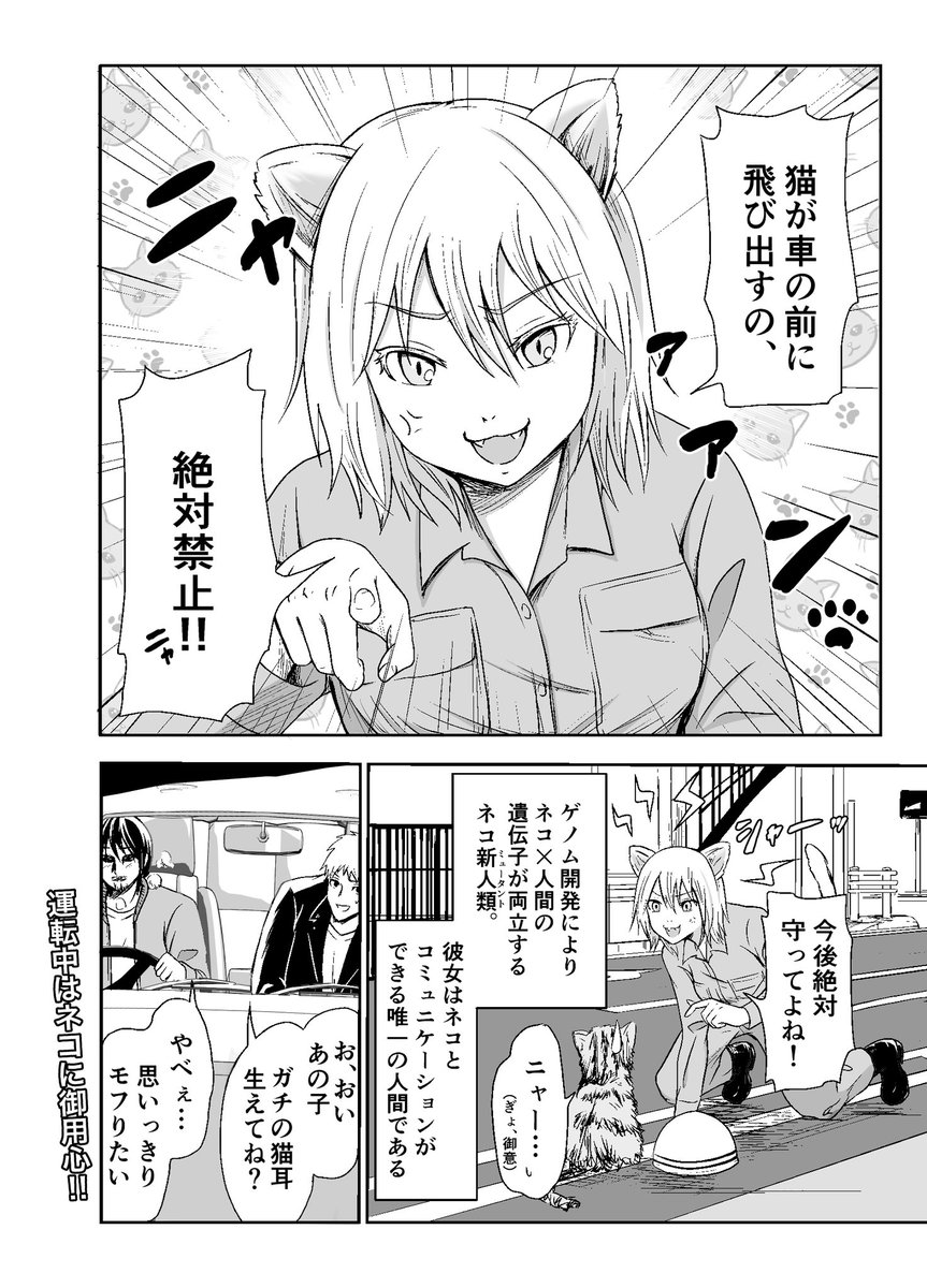 (2/6) 
