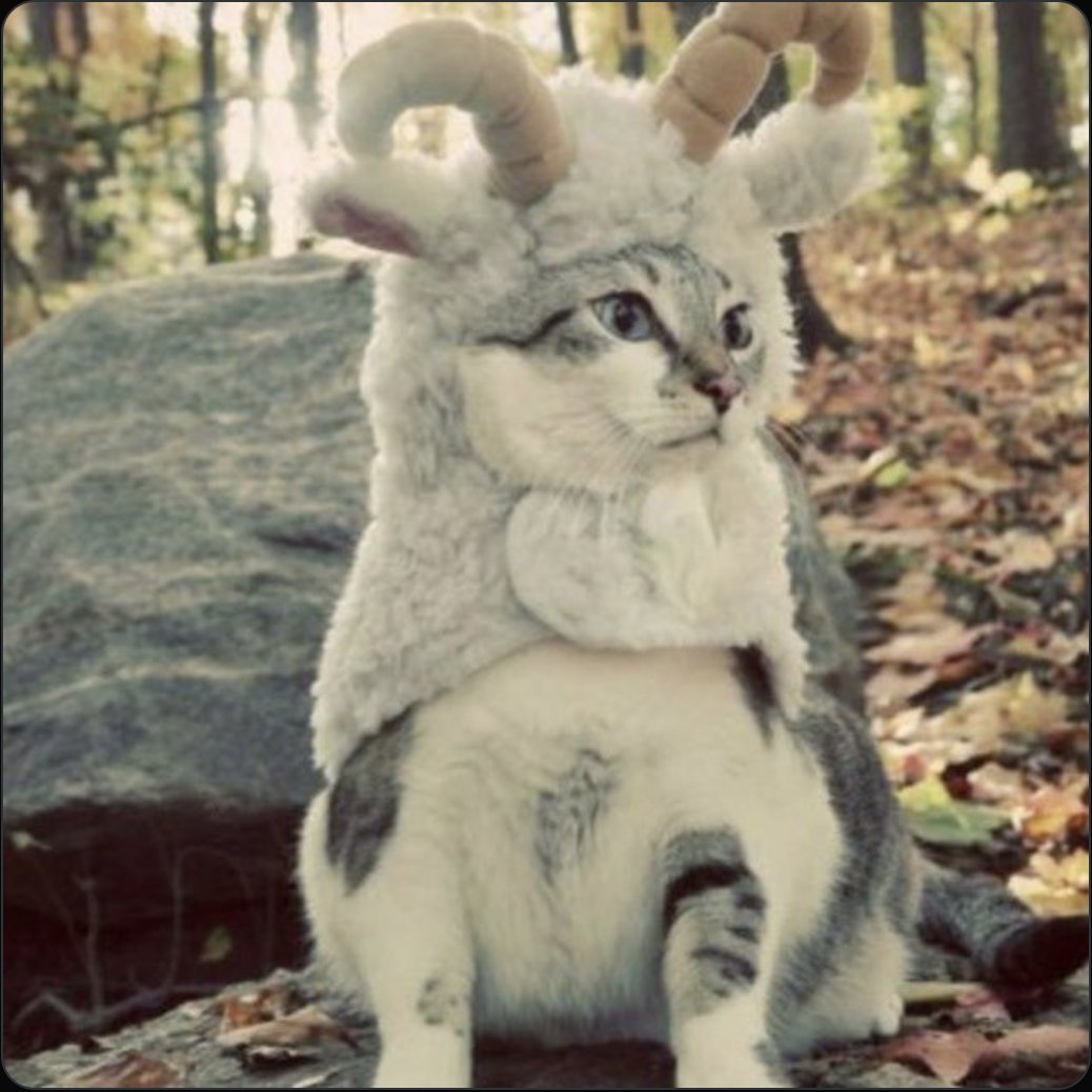Goat Morning everyone !