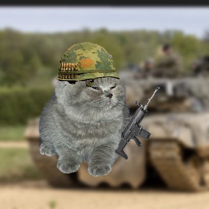 littlegraycat tweet media