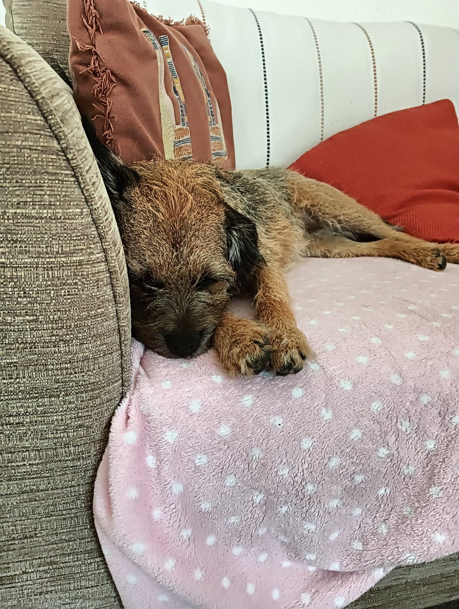 BorderWinnie tweet picture