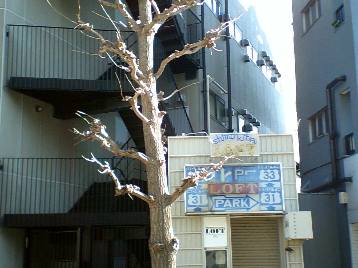 inao_toshiaki's tweet photo. WAIKIKI PHOTOGRAPH
winter tree , by lego camera
#japan
#wintertree
#冬の木
#tokyo
#下北沢
#日本
#東京
#世田谷
#streetphotography
#streetsnap
#streetsnaptokyo
#photography
#legocamera
#レゴカメラ
#lego
#ストリートスナップ東京
#waikiki_inc_photograph https://t.co/zBd2Y2pfVr