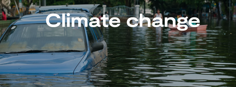 Steve Brace tweet media