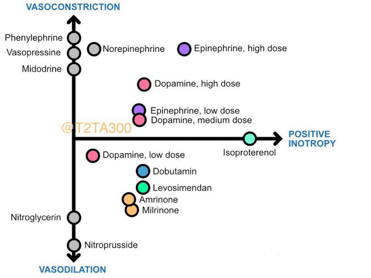 DrPharmDMDTh's tweet image. Overview of vasoconstrictors and inotropes