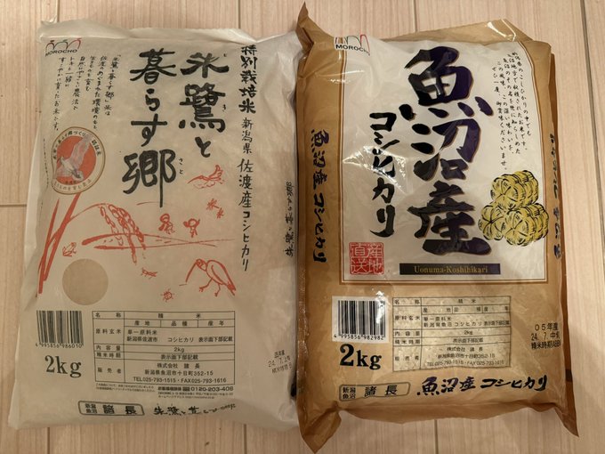 遅くなってしまいましたが、先日の撮影会ご参加くださった皆さんありがとうございました。  そして、毎年送ってくれる美味しいお米も届きました♪ありがとうございます。  もうほんとに想ってくれる気持ちが嬉しいです😊🫶<a href="/tag/%E3%82%8F%E3%82%93%E3%82%8F%E3%82%93%E3%82%8F%E3%82%93%E3%81%AE%E6%97%A5"class="tags"><span>#わんわんわんの日</span></a>