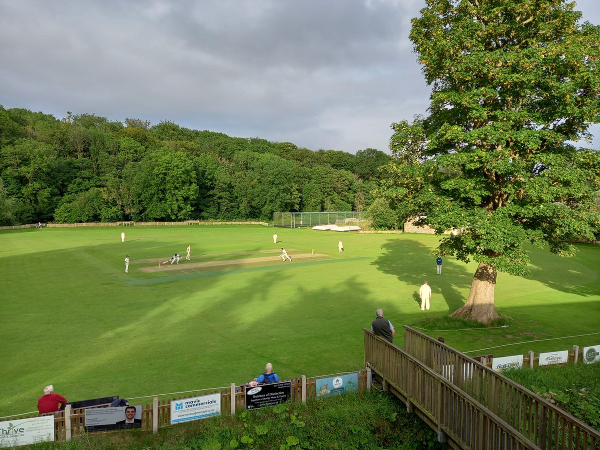 Saughall CC tweet media