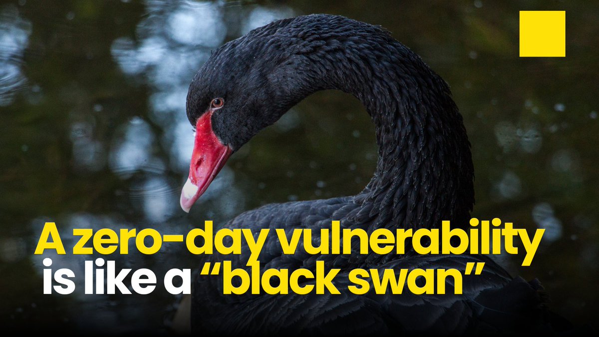 A zero-day vulnerability is like a #blackswan event that disrupts our daily lives. Nassim Taleb said, “Rare events cannot be estimated from empirical observation since they are rare,” and this also can be applied to IT infrastructure for any kind of business. #Audits can help.