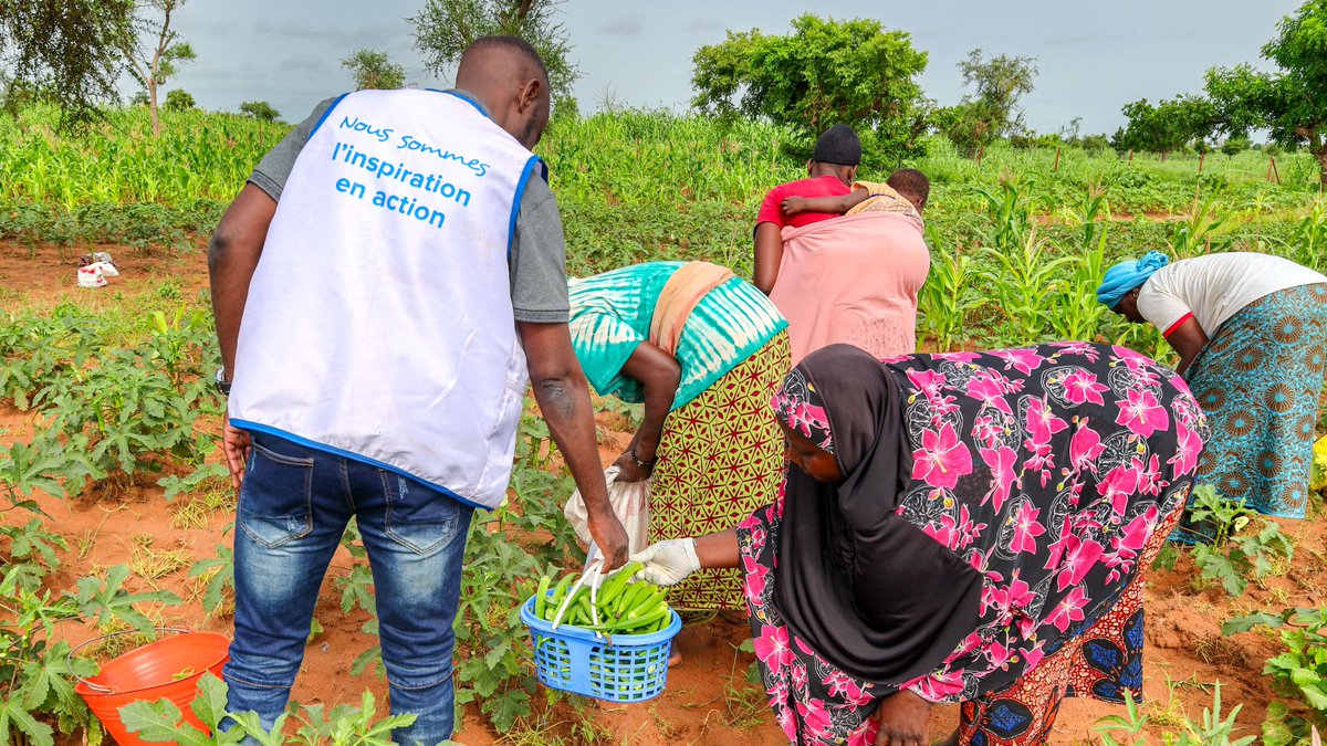 UNV_ROWCA's tweet photo. In Burkina Faso🇧🇫, the #Peacebuilding Fund is enhancing governance and coordination for peace. 

1⃣4⃣ UN Volunteers with @PNUD_BFA, @UNFPABF, @IOMROWCA, @UNHCR_BF , and @UNODC_WCAfrica are driving social cohesion and empowering civil society. 

👉https://t.co/u39aODNiU4 https://t.co/5UUClxT3uu