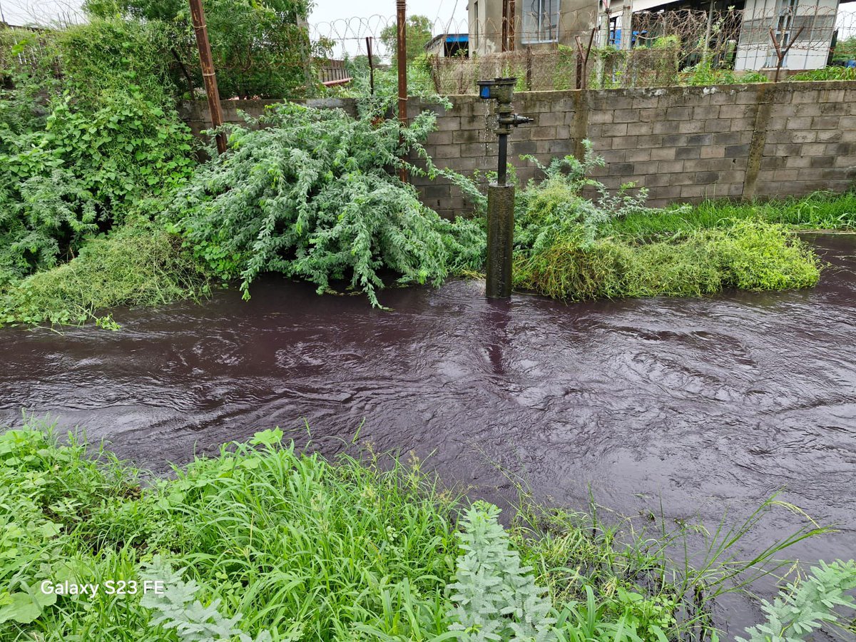 Patel6Harsh's tweet photo. #waterpollution at #saykha #gidc #bharuch સાયખા GIDC માં આવેલ કંમ્પની ઓ દ્વારા કેમીકલ વાડુ પાણી કાંસ મા છોડવામા આવી રહ્યુ છે જેનું કારણ હજુ અક બંધ છે. સાયખા ની બાજુ ના ગામ કોથીયા ના ખેતરો માં તથા આ ગામ ના તળાવ મા કેમિકલ જય રહ્યું છે@GPCB_HO @Gpcb_Bharuch @CollectorBharch @CMOGuj https://t.co/DBOWT2QT4v
