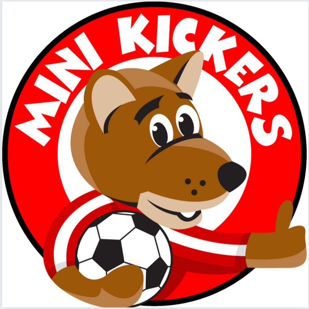 BYFLEETVILLAGEFC tweet media