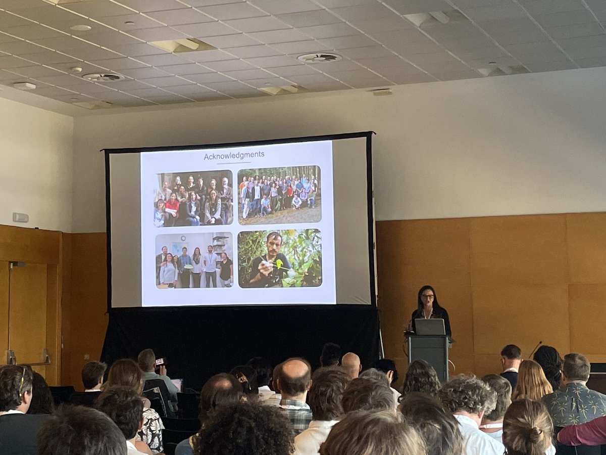 Dr. Laura Lagomarsino (@lagomarsino_l) on Twitter photo It is always a joy to hear <a href="/Lucia_Lohmann/">Lucia Lohmann</a> present her long history of research with #Bignoniaceae as a model clade, complemented by her collaborative and interdisciplinary work into the evolution of Amazonia. What a rock star, and role model to me! #IBC2024 It is always a joy to hear <a href="/Lucia_Lohmann/">Lucia Lohmann</a> present her long history of research with #Bignoniaceae as a model clade, complemented by her collaborative and interdisciplinary work into the evolution of Amazonia. What a rock star, and role model to me! #IBC2024