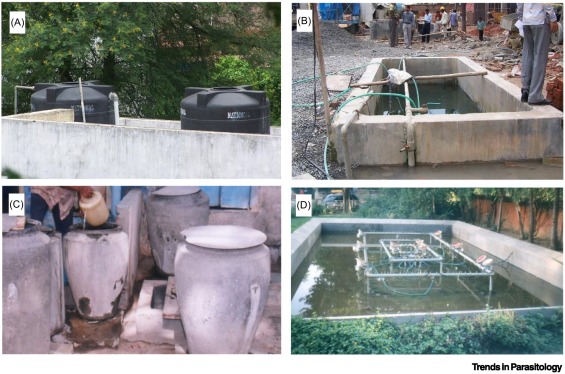 LSHTM RAFT (@lshtm_raft) on Twitter photo š¢New publication from <a href="/roztaylor_/">Roz Taylor</a> Congratulations!
Invasive #Anopheles #stephensi in Africa: insights from Asia:
cell.com/trends/parasitā¦
<a href="/TrendsParasitol/">Trends in Parasitology</a> <a href="/CellPressNews/">Cell Press</a>
#Entomology #Malaria #Vector #Bionomics š¢New publication from <a href="/roztaylor_/">Roz Taylor</a> Congratulations!
Invasive #Anopheles #stephensi in Africa: insights from Asia:
cell.com/trends/parasitā¦
<a href="/TrendsParasitol/">Trends in Parasitology</a> <a href="/CellPressNews/">Cell Press</a>
#Entomology #Malaria #Vector #Bionomics