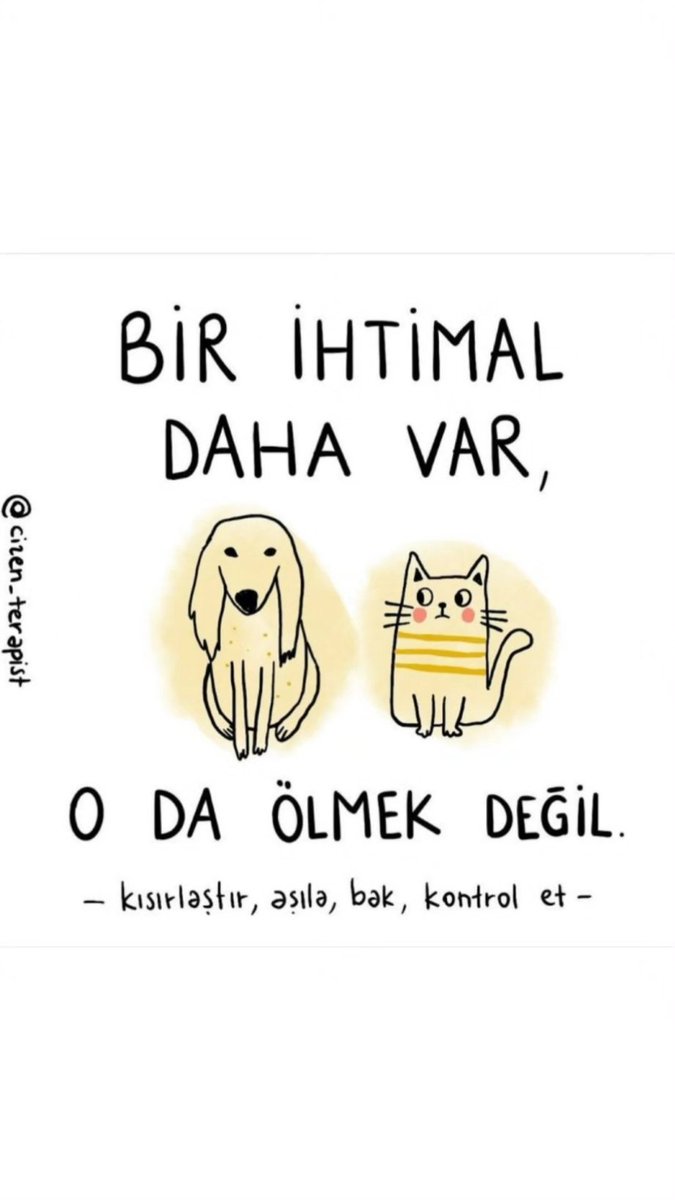 NazlıDerici (@derici_nazl) on Twitter photo 