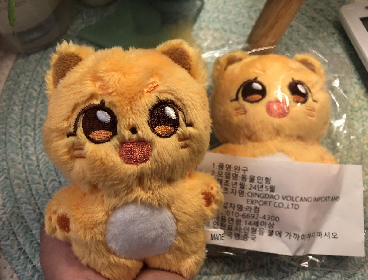 My lil fluffy cutie snuggly Jyocats kittens arrived to my arms!! 😭🥹 they’re so freaking adorable!! 😼🤏🧡🧡
<a href="/Team_Jyocat/">죠캣</a>