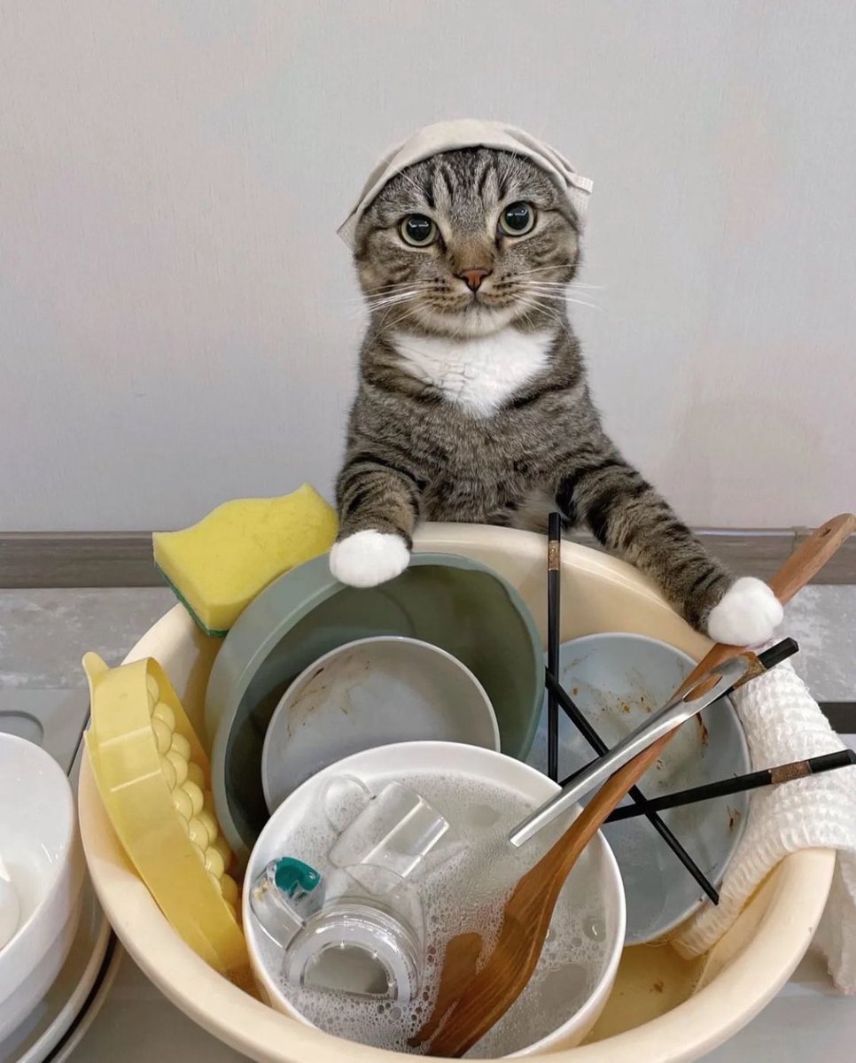 ᴋᴀɴɢ ʜᴇᴀʀᴛ ♪ (@eternalhr8) on Twitter photo 