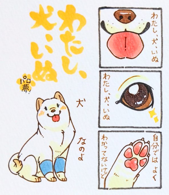 #RKRNケモプラス  ⚠️「わiたiし、i犬、いiぬ」の歌パロ ⚠️わんこ化夢主ちゃん ⚠️なんでも許せる人向け  忍犬になったつもりでお楽しみください(?)🥷🐶 たぶんtkyメイン…(??)  まぢでほんとにいい歌なんだみんな聞いてくれ泣けるほどいい歌なんだよぉ…🥹❤️