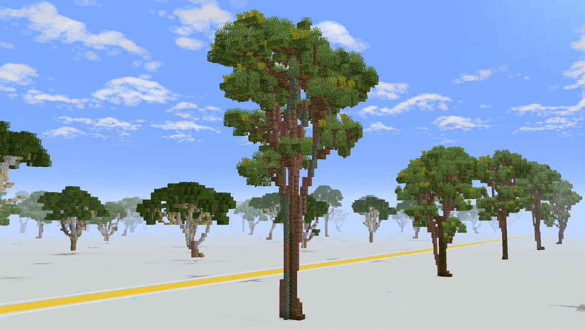 Another day another tree! 🌳

I am now working on trees commonly found in dry broadleaf forests, starting with Teak (Tectona grandis)
#Minecraft #Minecraftbuilds #minecraft建築コミュ