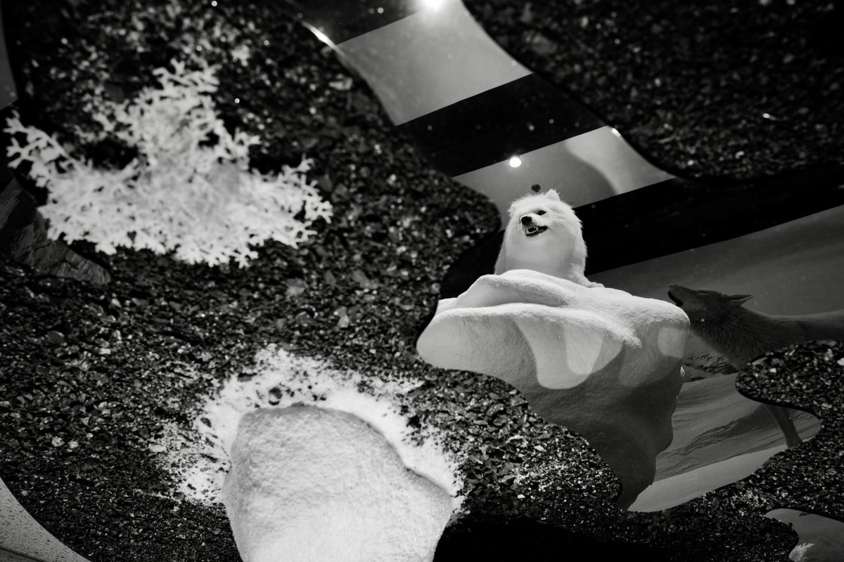 利用窗面玻璃，桌面亦或是镜面
反射的光，帮我们看到不一样的世界📷📷
Leica Q2 Monochrom