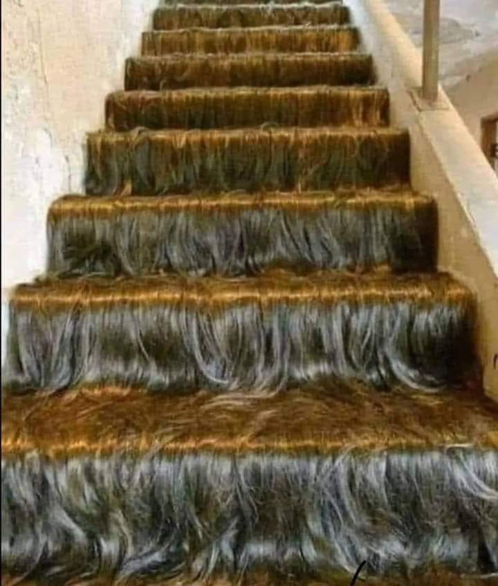 Kataksh__'s tweet image. सीढियों पर तेल की शीशी लुढक गयी थी, आदिवासी हेयर ऑयल।
मैं भी ट्राई करने का प्लान कर रहा हूं;
समझे🤣🤣😂😂

#AdivasiHairOil #JustFun #ChandanSinghBisht