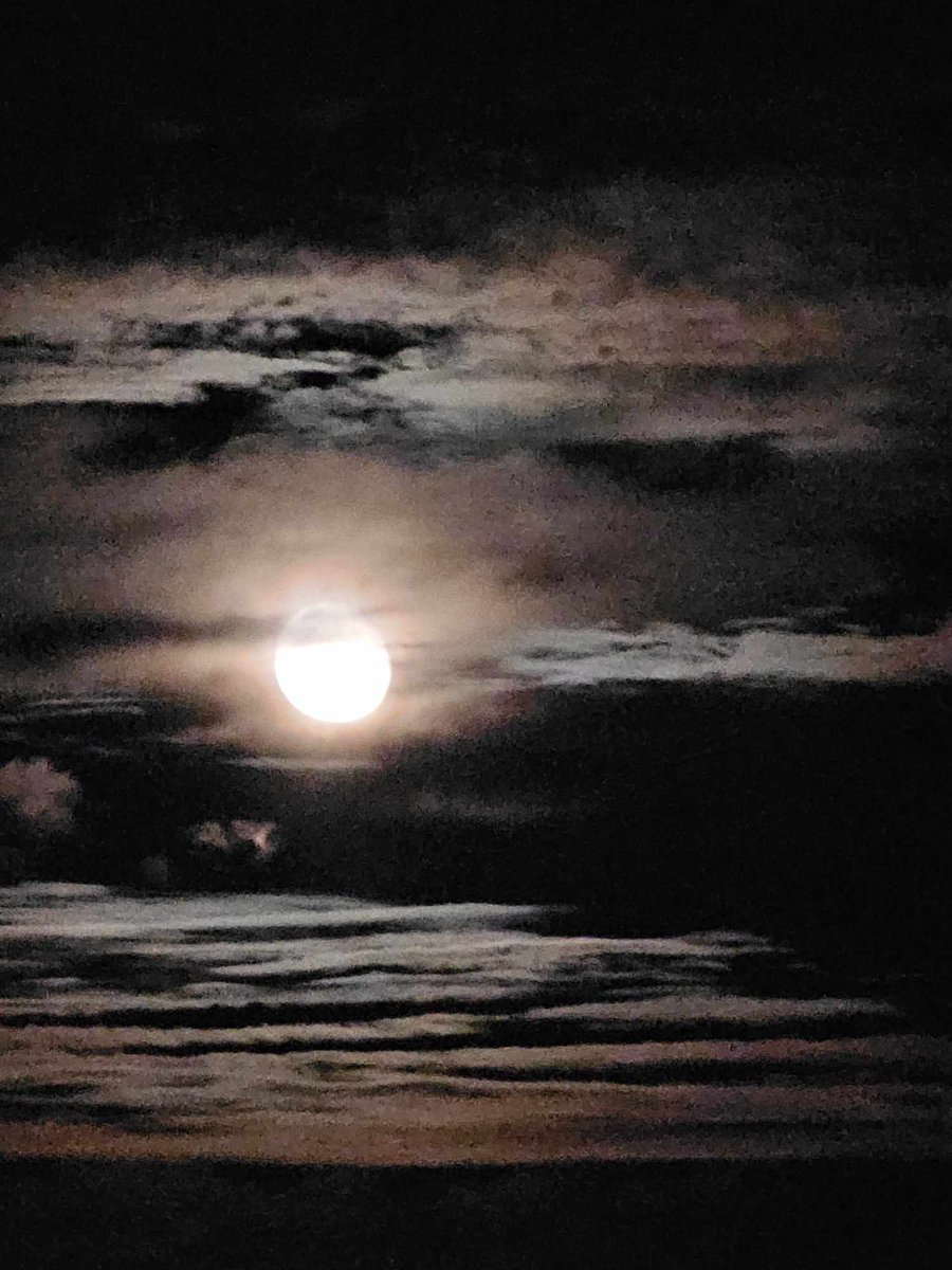 YaKuroda1's tweet photo. @babymochipjimin life is a very expensive gift, so it has to be enjoyed at all times, as it passes very quickly... being happy at all times, even in the face of obstacles, makes it more precious and valuable... good night... good rest...
💜&amp;💜
💜🧡💜 https://t.co/QafVrcuaZz