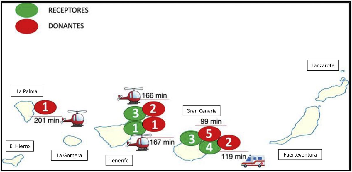 REC Publications tweet media