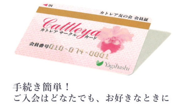 GTV3CtqacAA2XMC.png
