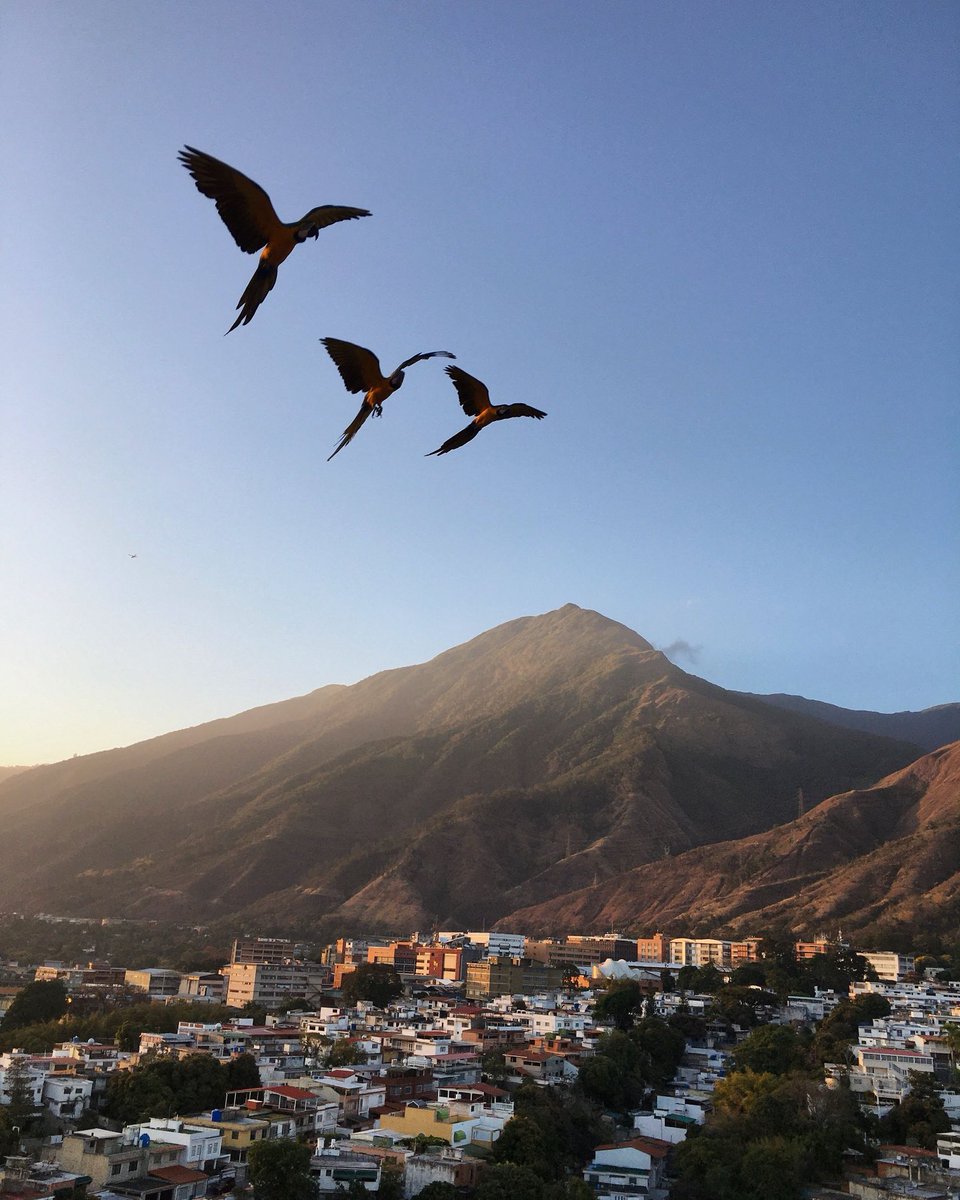 ¡Feliz cumpleaños mi amada Caracas!