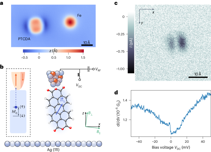 New content online: A quantum sensor for atomic-scale electric and magnetic fields dlvr.it/TB3gTr