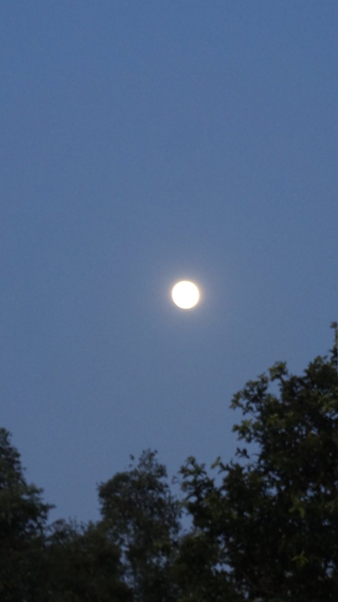 satan ×͜× (@xoulsox) on Twitter photo 