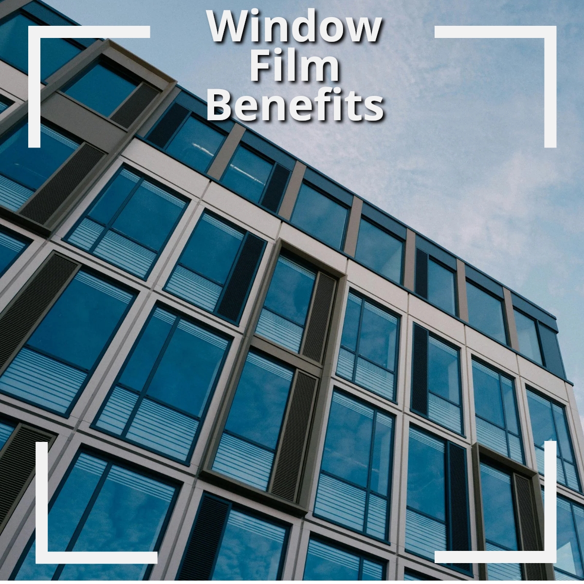 EasternSolar88's tweet photo. Seeking a way to increase the sustainability, safety &amp; aesthetics of your building? 

We can suggest the window film to help meet your goals.

#WindowFilm #WindowFilms #BuildingImprovements https://t.co/jqrXuHdhmc