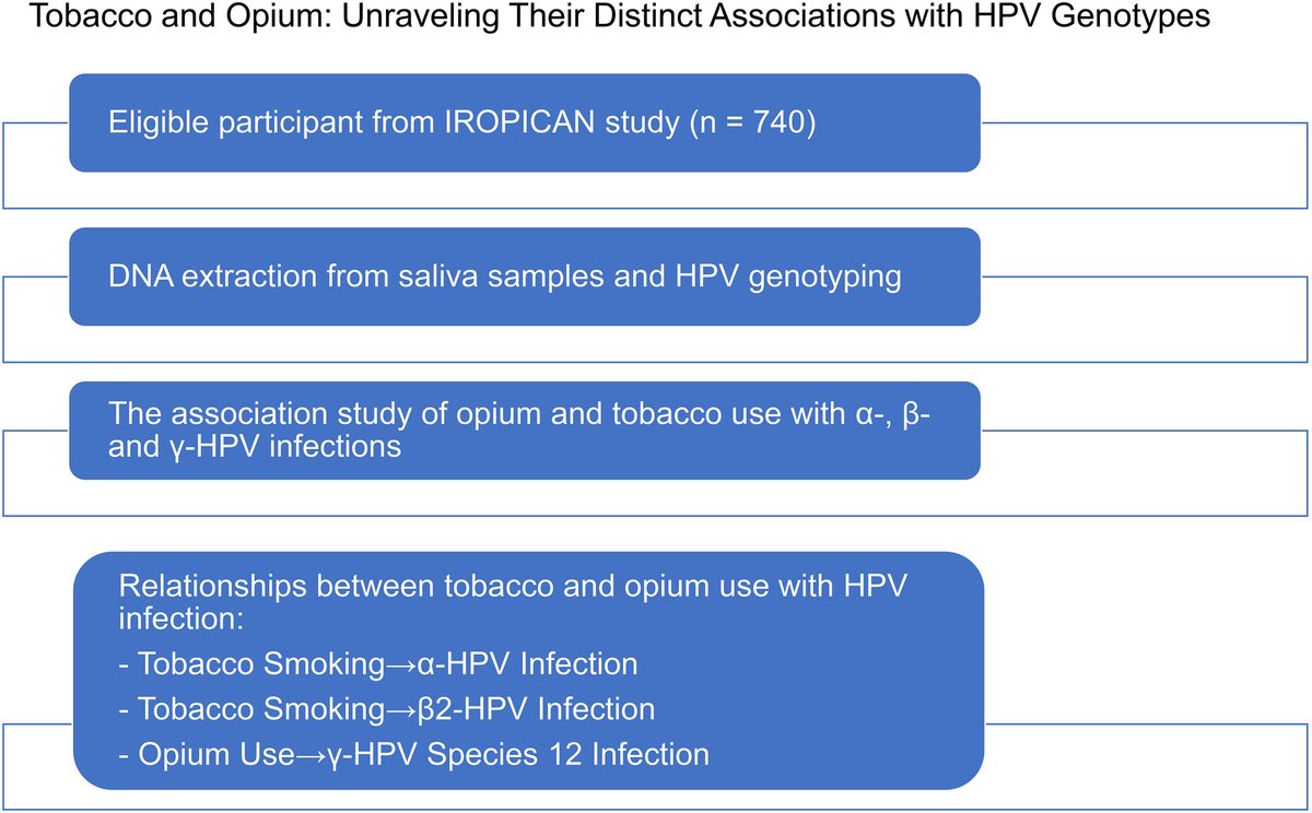 Do you think HPV infection is linked to tobacco smoking? 🤔 Discover the latest insights in our new paper published in the International Journal of Cancer. Read it now! <a href="/IntJCanc/">International Journal of Cancer</a> onlinelibrary.wiley.com/doi/epdf/10.10…
#HPV #CancerResearch #Tobacco
