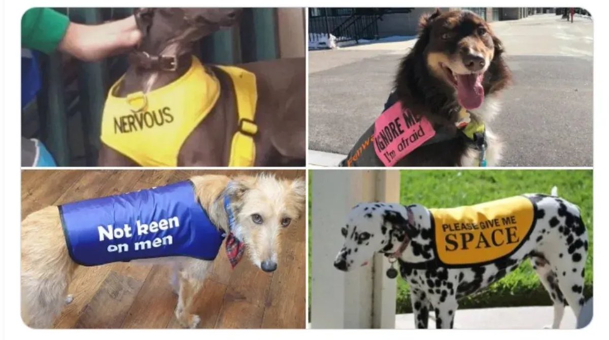 Me at conferences when I don’t know anybody