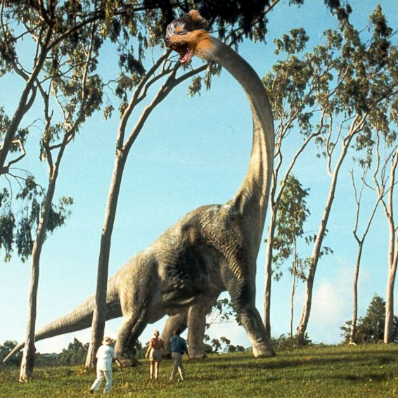 $Bubbles the Pom tweet media