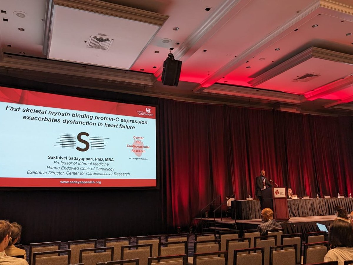 Delighted to be  at #BCVS2024 #ACS2024 #SAHR2024 ! Dr. Sadayappan showcased our work on the impact of C2 domain, C10 domain altering MYBPC3 mutation and expression of MYBPC2 in heart health @Sadayappanlab!  #CardiovascularResearch #HeartHealth