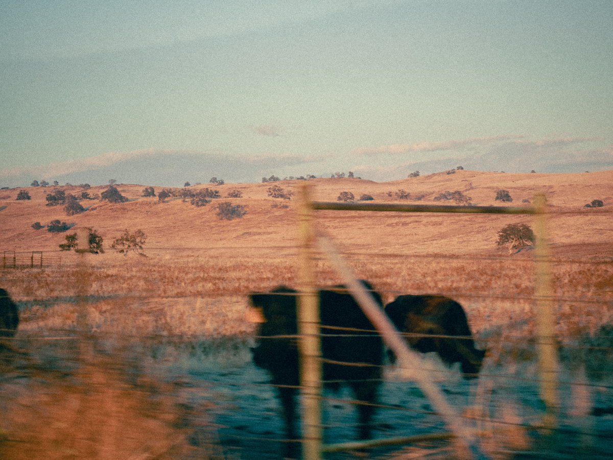 GM ✧

On the road in Nevada back in December