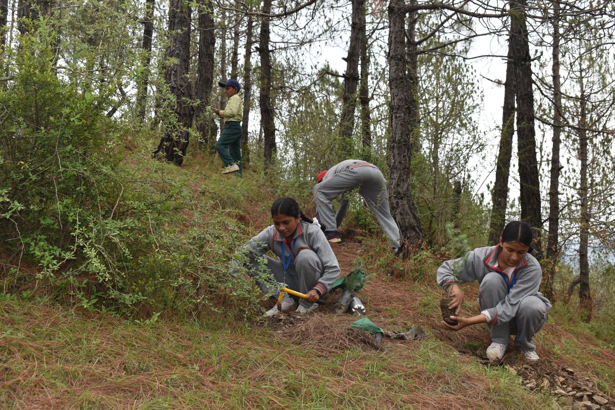 EIACP PC-Hub, HIMCOSTE, Shimla tweet media