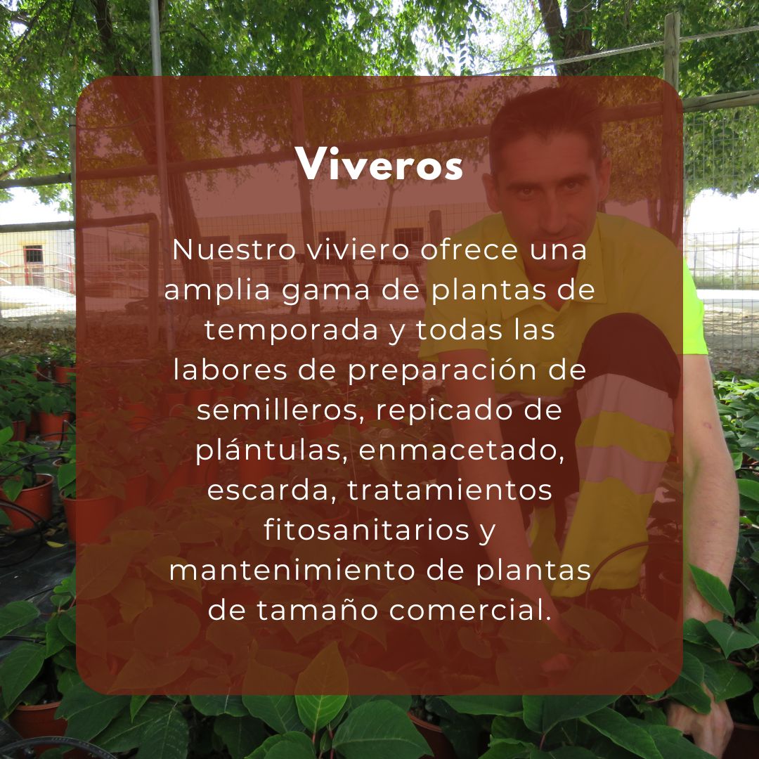 SingularCEE's tweet photo. ¿Conoces todos los servicios de Singular CEE?
👉¿Has contratado alguno de ellos?
#SingularCee #SingularCafetería #SingularGarden #Castrodelrio #centroespecialdeempleo #jardineria #limpiezavial #limpiezadeinmuebles #vivero https://t.co/o61GsWme7h