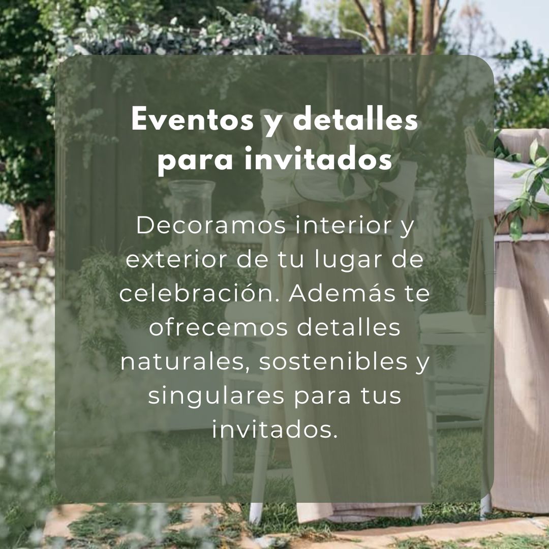 SingularCEE's tweet photo. ¿Conoces todos los servicios de Singular CEE?
👉¿Has contratado alguno de ellos?
#SingularCee #SingularCafetería #SingularGarden #Castrodelrio #centroespecialdeempleo #jardineria #limpiezavial #limpiezadeinmuebles #vivero https://t.co/o61GsWme7h