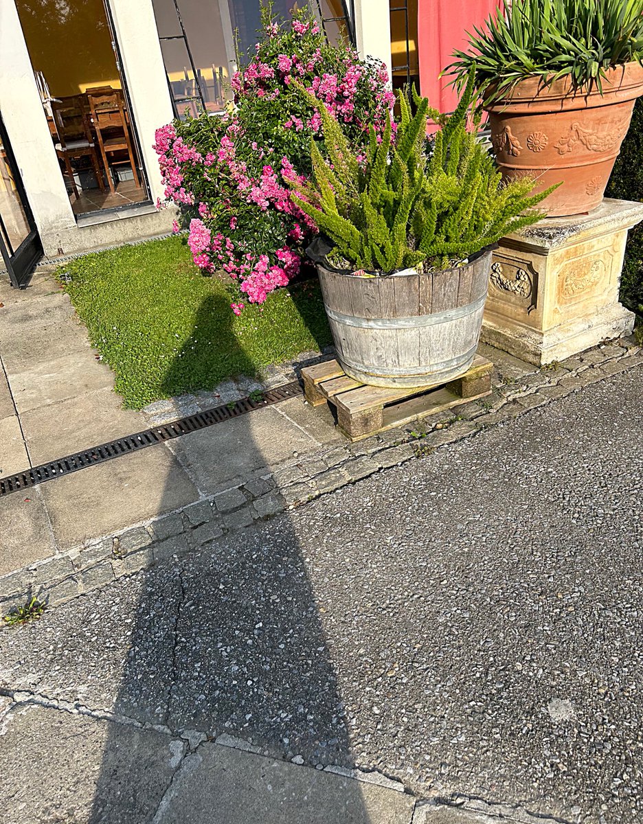 peacearhpn's tweet image. my fearless era, 🥂🤍💫

#peacearhpn 🌛