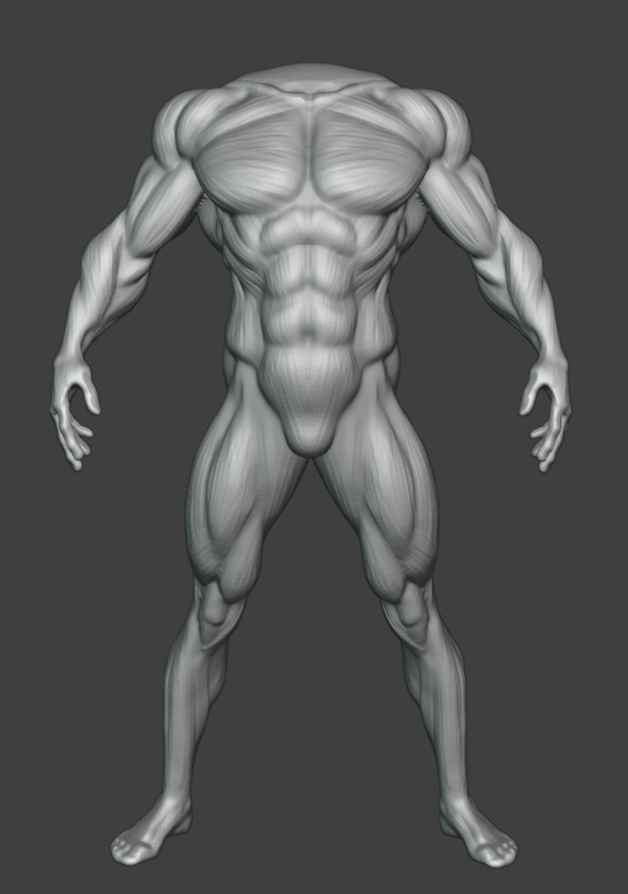sydorukanton's tweet photo. some full-body anatomy practice https://t.co/pp0tfHihl2