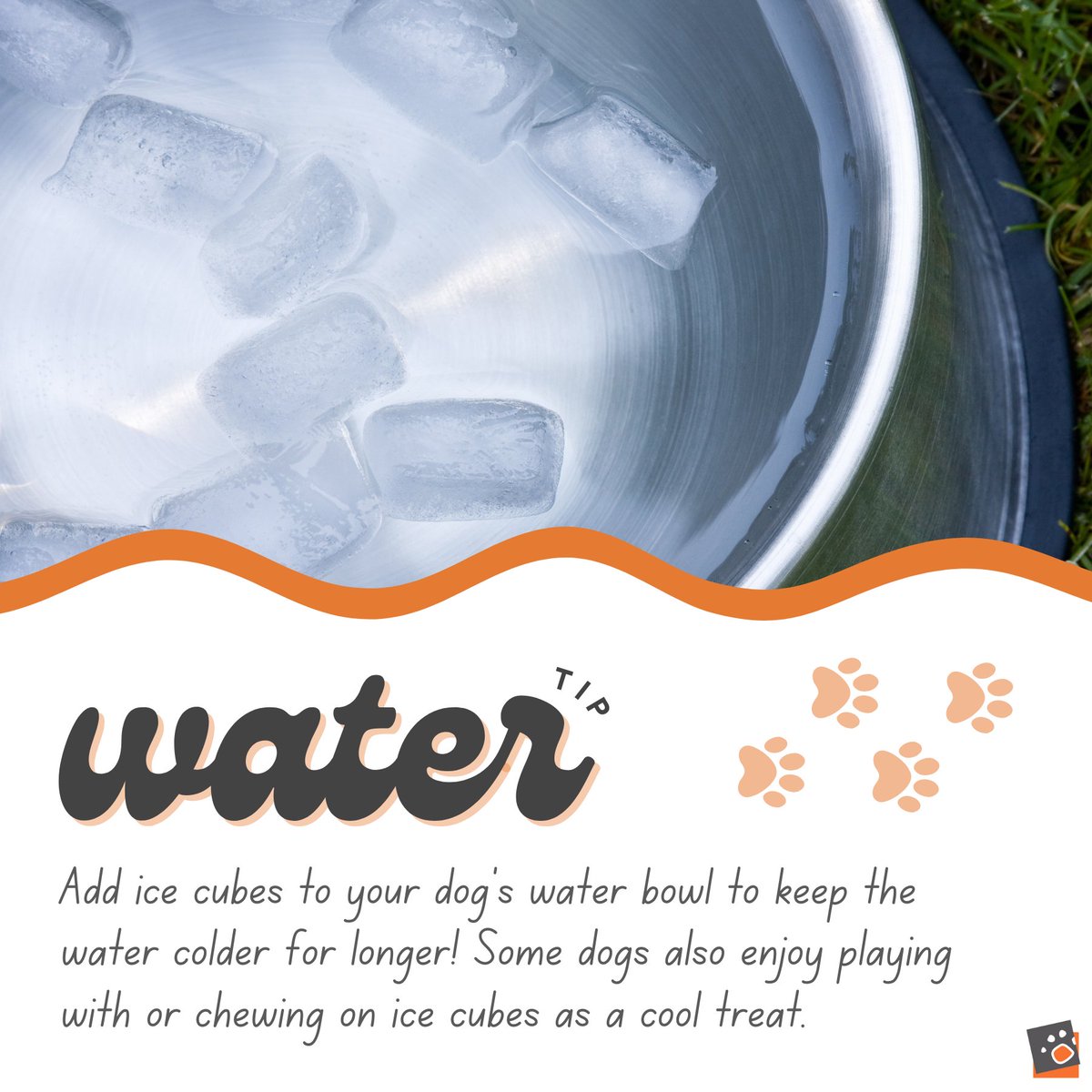 💧❄️ Keep your pup cool with this water tip! Add ice cubes to their bowl to keep the water chilly for longer. Some pups even love playing with ice cubes as a refreshing treat! 🐾 #CoolPup #WaterTip #PetHeatSafety