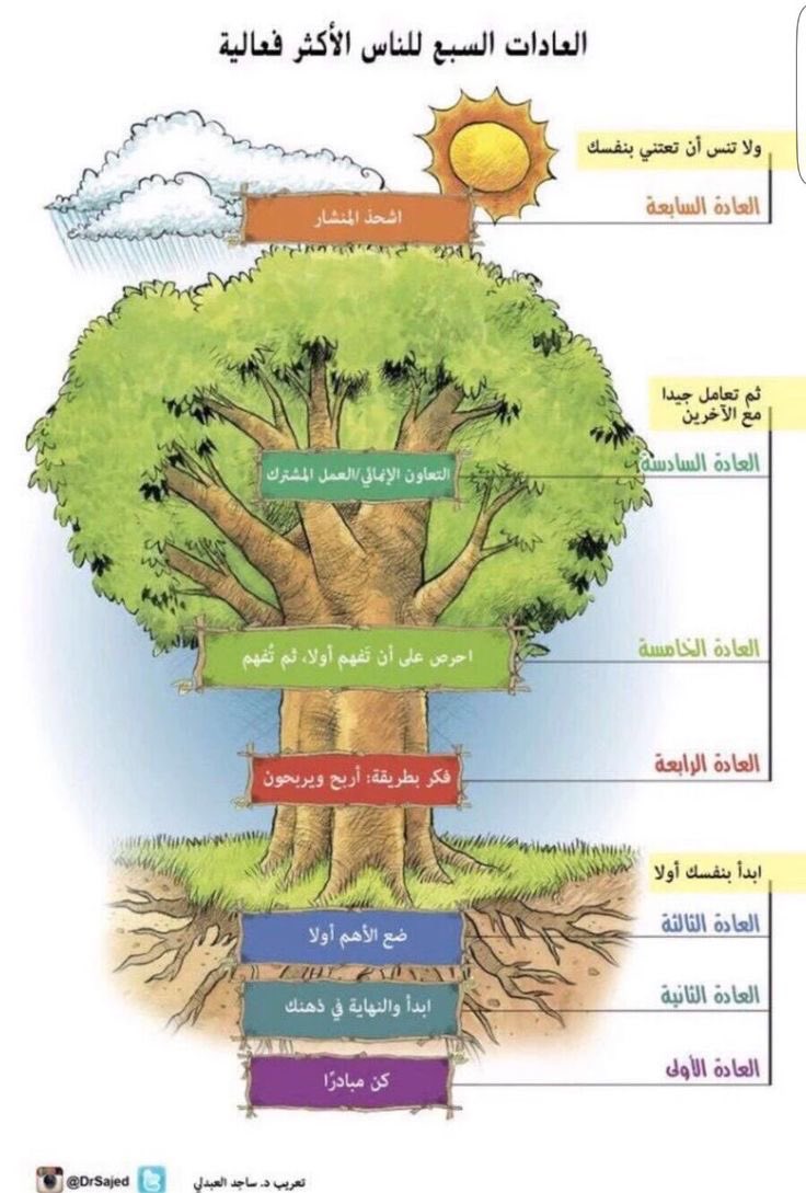 📍العادات السبع للناس الأكثر فعالية🔥.